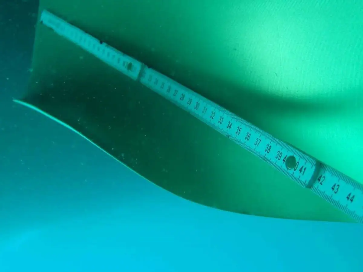 Inspection White Ruler
